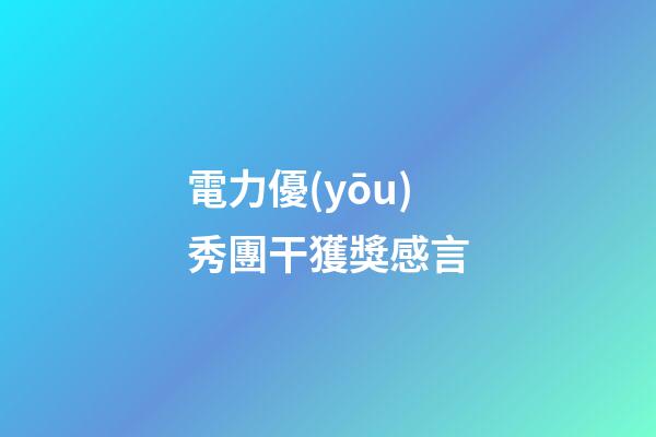 電力優(yōu)秀團干獲獎感言