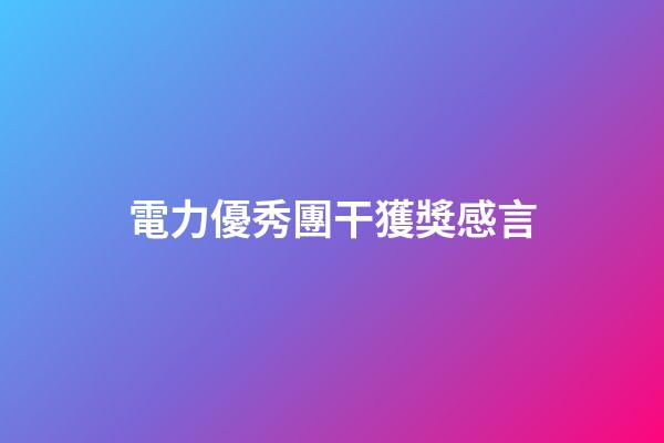 電力優秀團干獲獎感言