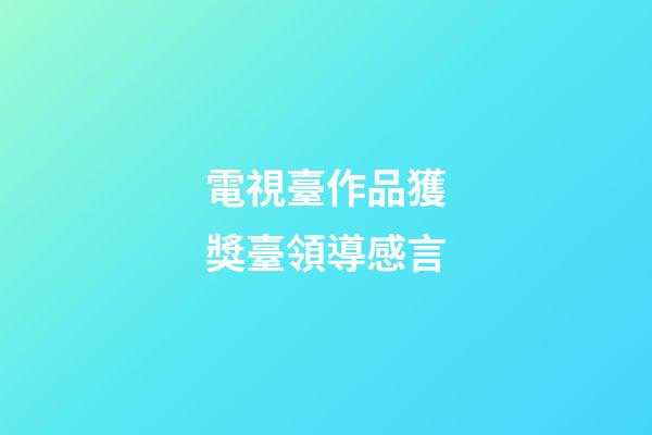 電視臺作品獲獎臺領導感言