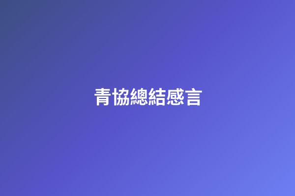 青協總結感言