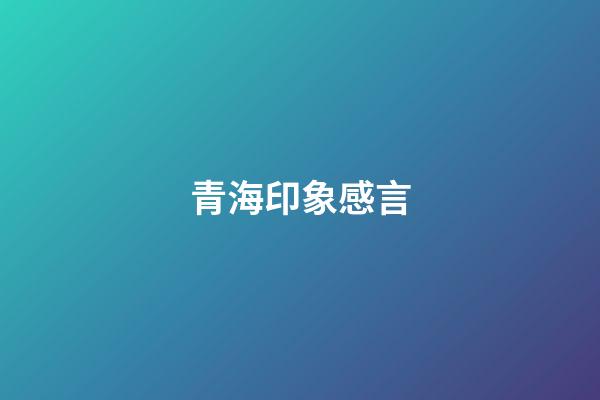青海印象感言