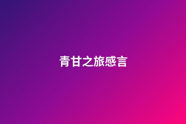 青甘之旅感言