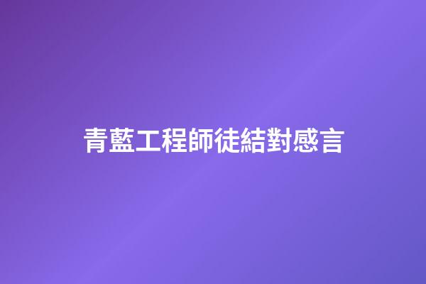 青藍工程師徒結對感言