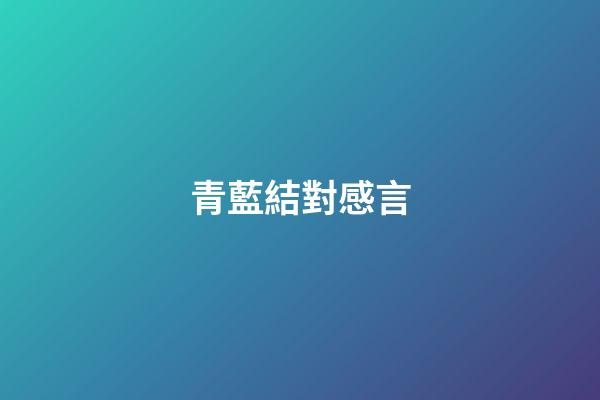青藍結對感言
