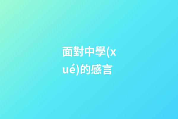 面對中學(xué)的感言