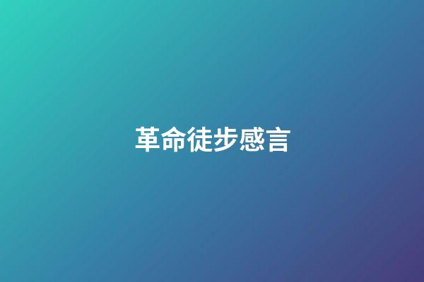 革命徒步感言