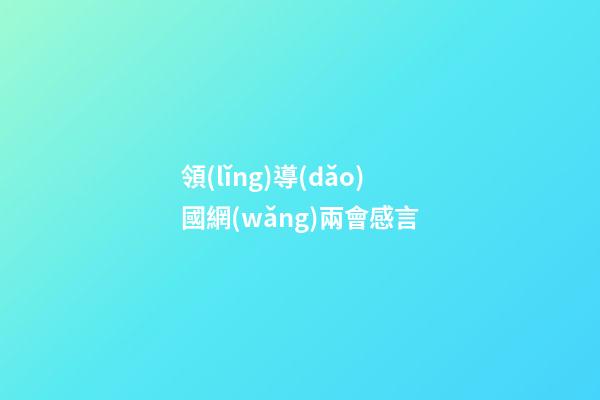 領(lǐng)導(dǎo)國網(wǎng)兩會感言