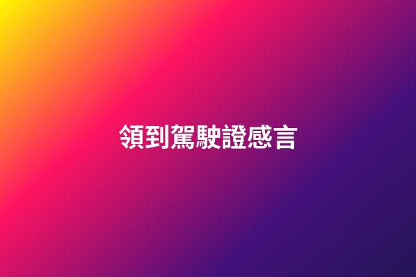 領到駕駛證感言