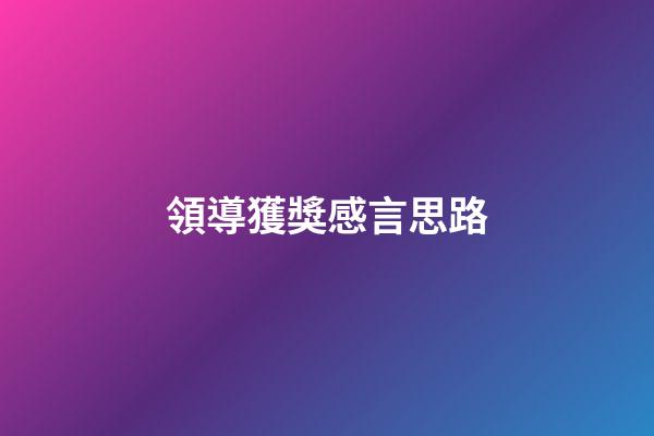 領導獲獎感言思路