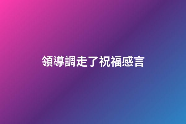 領導調走了祝福感言