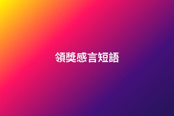 領獎感言短語