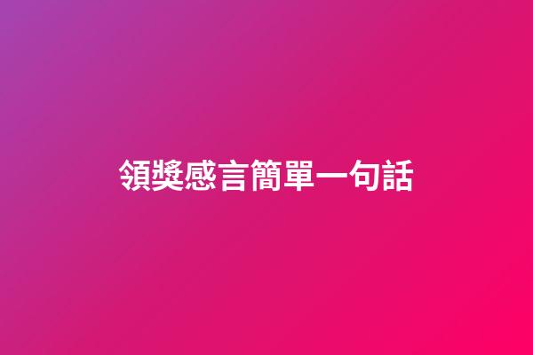 領獎感言簡單一句話