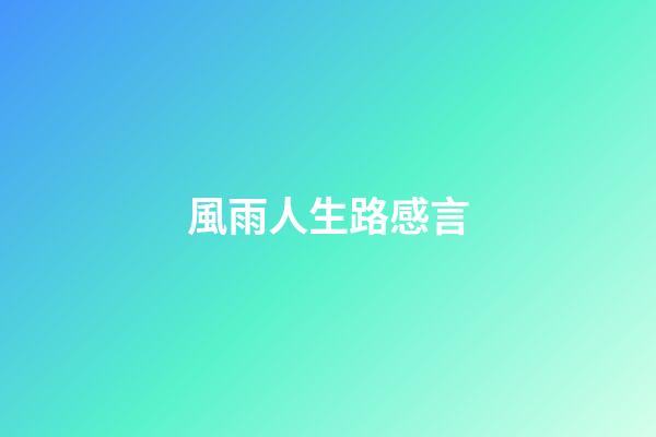 風雨人生路感言