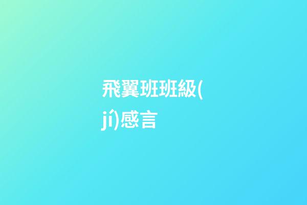 飛翼班班級(jí)感言