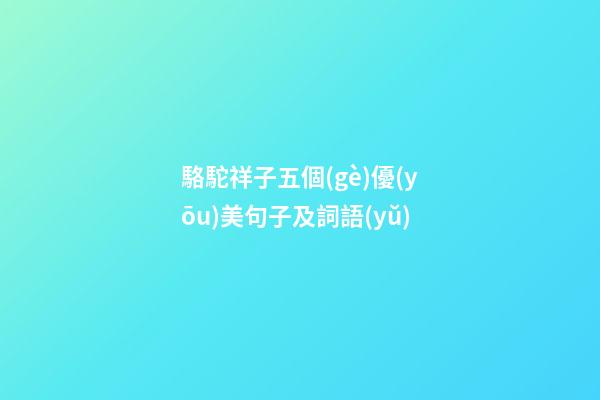 駱駝祥子五個(gè)優(yōu)美句子及詞語(yǔ)