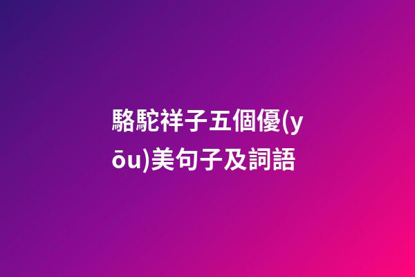 駱駝祥子五個優(yōu)美句子及詞語