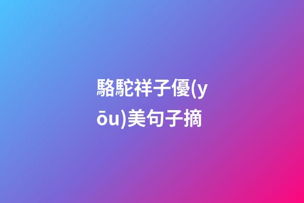 駱駝祥子優(yōu)美句子摘
