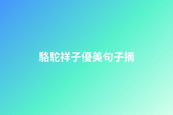 駱駝祥子優美句子摘