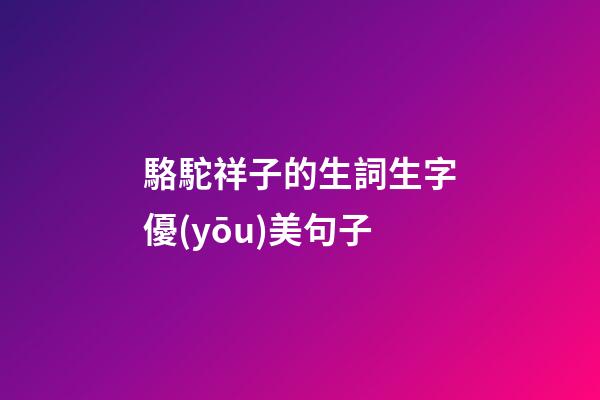 駱駝祥子的生詞生字優(yōu)美句子