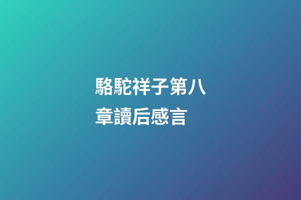 駱駝祥子第八章讀后感言