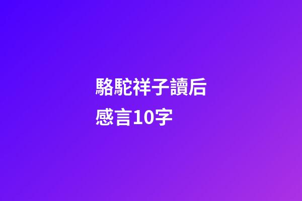 駱駝祥子讀后感言10字