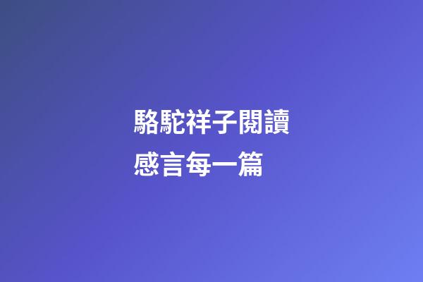 駱駝祥子閱讀感言每一篇