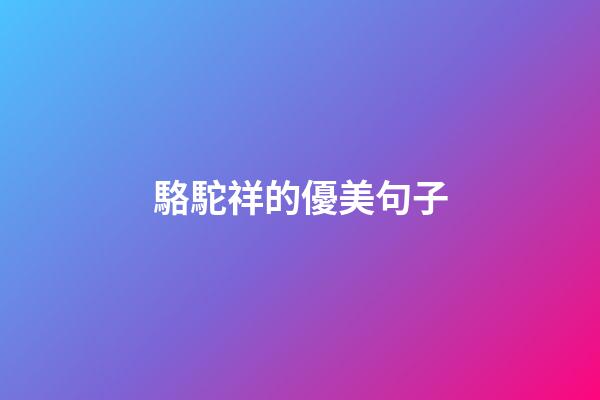 駱駝祥的優美句子
