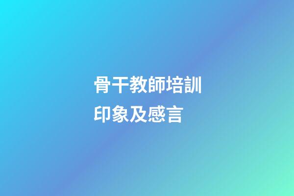骨干教師培訓印象及感言