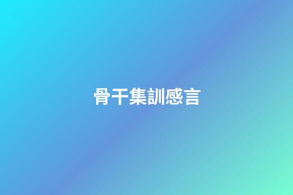 骨干集訓感言