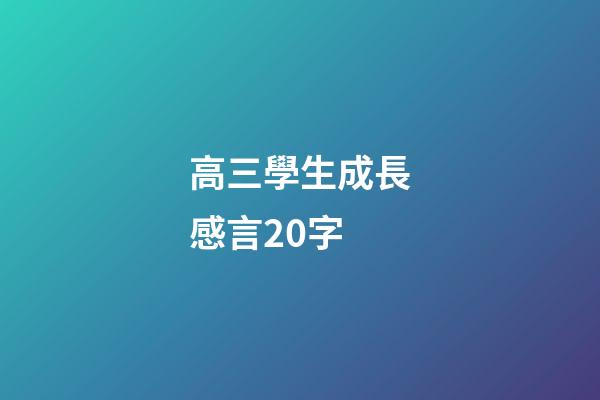 高三學生成長感言20字