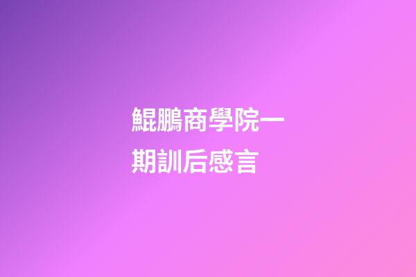 鯤鵬商學院一期訓后感言
