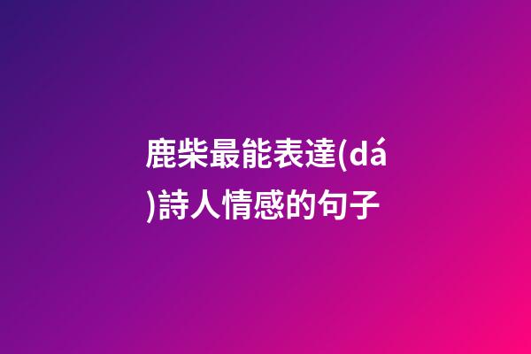 鹿柴最能表達(dá)詩人情感的句子