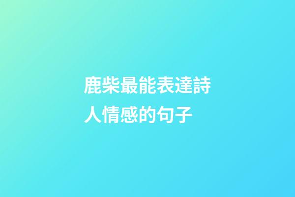 鹿柴最能表達詩人情感的句子