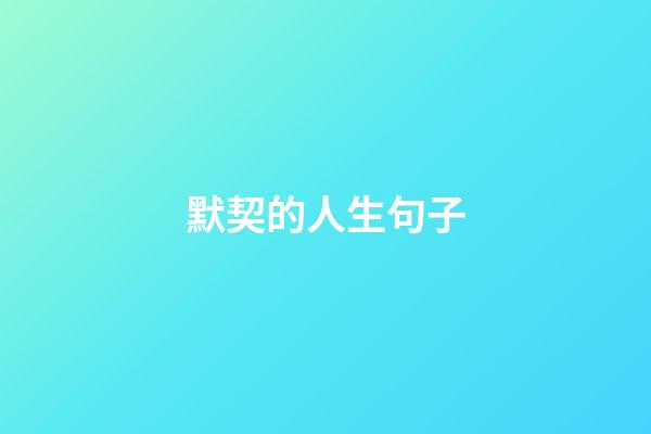 默契的人生句子