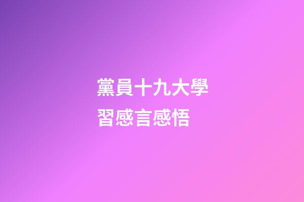 黨員十九大學習感言感悟