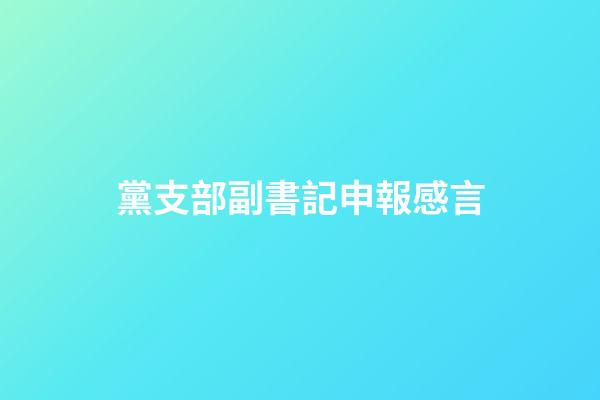 黨支部副書記申報感言