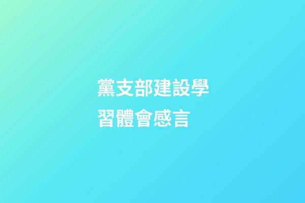 黨支部建設學習體會感言