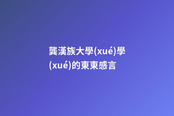 龔漢族大學(xué)學(xué)的東東感言